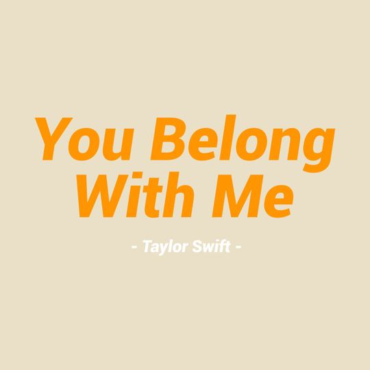 You Belong With Me Taylor T-Shirt, Music T-Shirt, Taylor Fan Gift