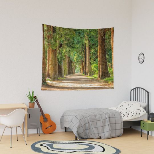 Back country road avenue of redwood trees nature forest color landscape Tapestry