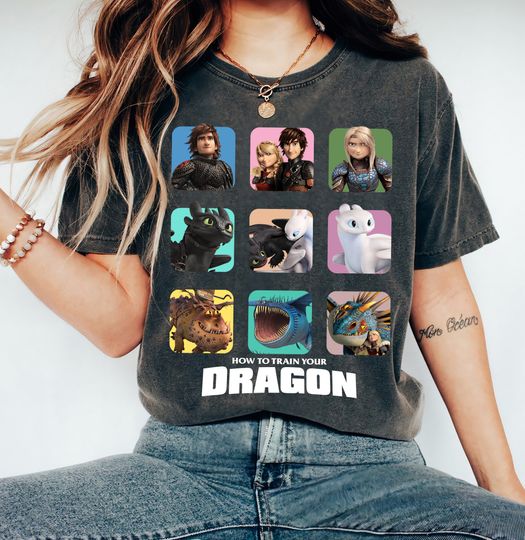 Disney How To Train Your Dragon Retro Characters Shirt
