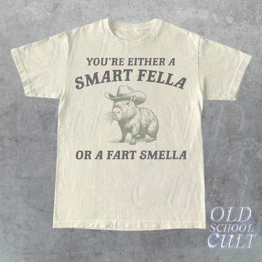 Are You A Smart Fella Or Fart Smella Vintage Style Shirt, Retro Cartoon T Shirt
