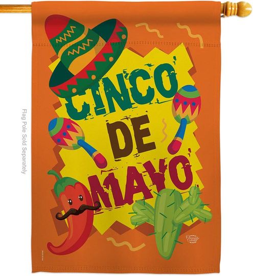 Cinco de Mayo House Flag - Summer Mexican Fiesta Party Cactus PinataOutdoor Summertime Sunny - Decoration Banner Small Garden Yard Gift
