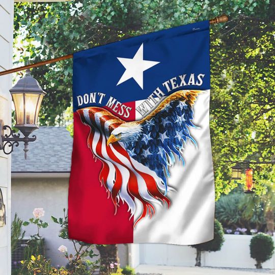 Texas American Eagle US House Flag