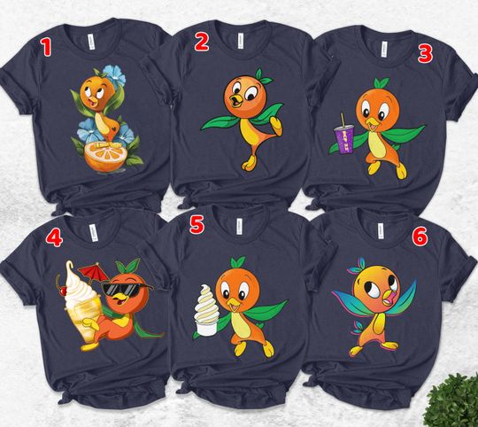 Orange Bird Group Matching T-Shirt, Sunshine Orange Bird Shirt, Summer Vacation Shirts, Bird Festival Symbol Tee, Family Trip
