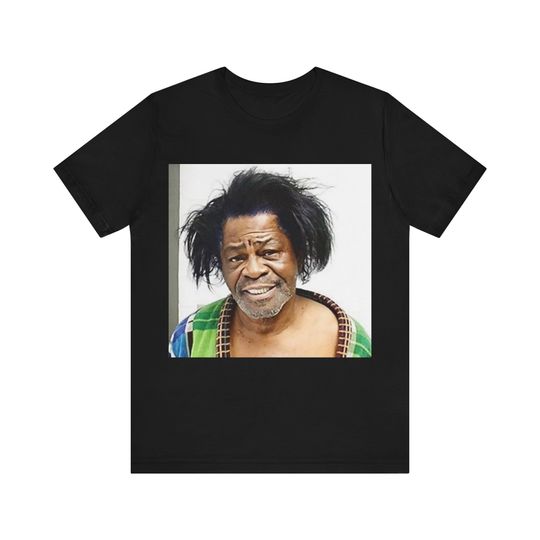 James Brown Mugshot Tee, Short Sleeve Shirt, Unique Gift for Music Lovers