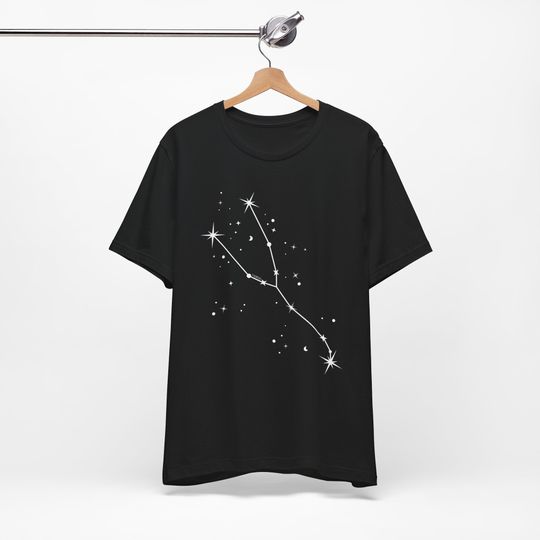 Zodiac Sign T-shirt, Taurus T-shirt, Birthday Gift