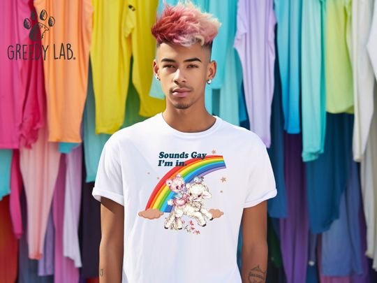 Sounds Gay Im in Tee, Gay Friendly Shirt, Pride Shirt, LGBTQ Support Tee