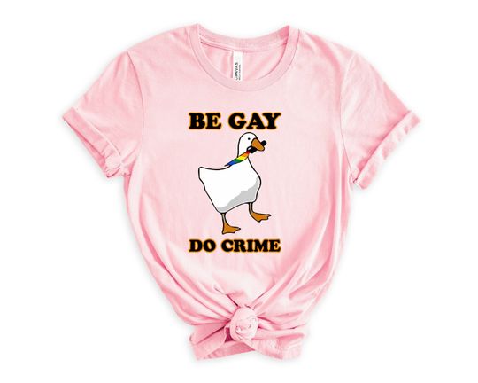 BGD crime T-shirt, Be Gay Shirt, Funny Duck Goose Shirt, LGBT Shirt, Pride Shirts