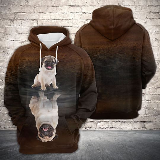 Unisex Cute Pug Reflection Sweatshirt , Pug Lover Hoodie, Dog Lover Hoodie, Dog Sweatshirt, Dog Gift