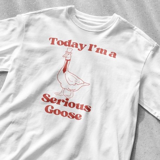 Today I'm a Serious Goose Shirt, Meme T Shirt, Funny T Shirt