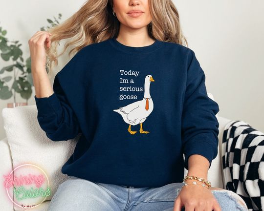 Today I'm A Serious Goose, Silly Goose Sweatshirt, Duck Sweatshirt