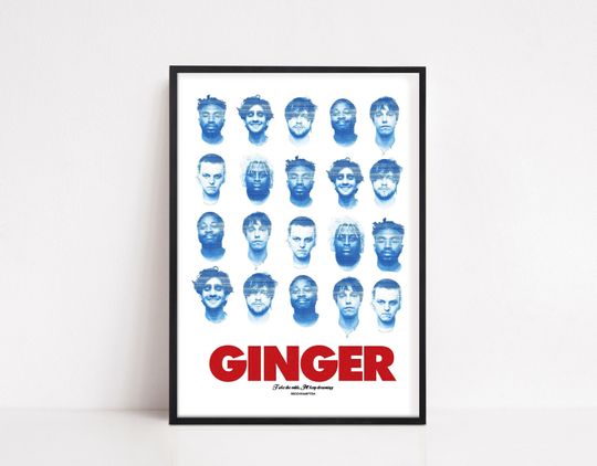Brockhampton Poster - Ginger Album Poster - Album Cover Poster