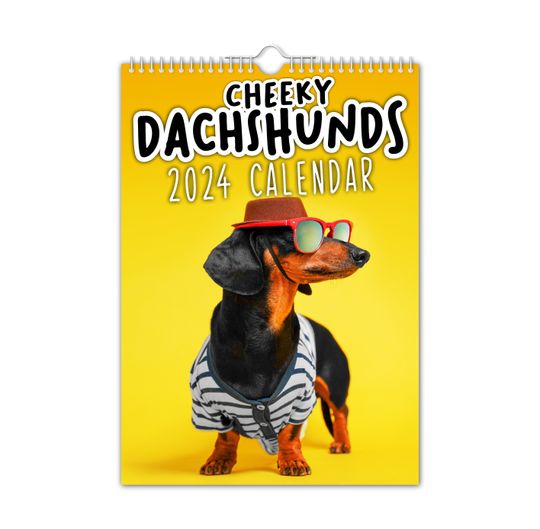 Cheeky Dachshunds - 2024 Wall Calendar, Creative, Gift Idea, Present, Novelty