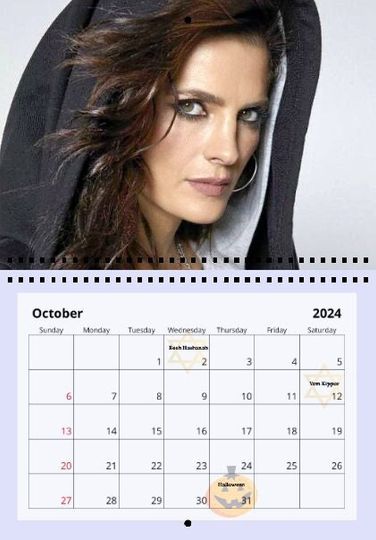 Stana Katic Celebrity 2024 Wall Calendar
