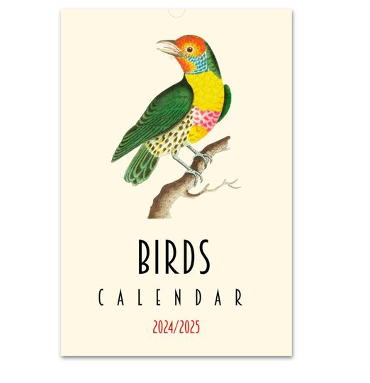 2024 Calendar, Birds Calendar, Retro Calendar, Ornithology Calendar