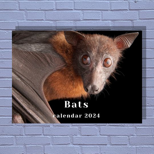 Bats 2024 Calendar