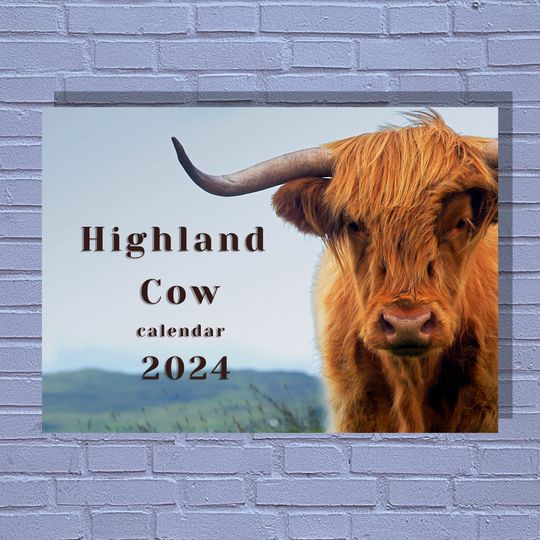 Highland Cow 2024 Calendar