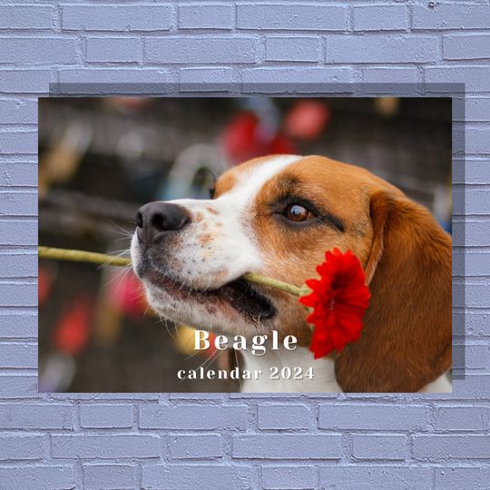 Beagle 2024 Calendar
