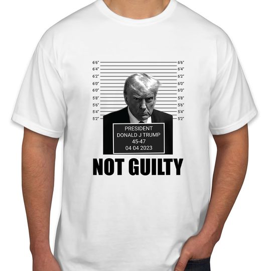 TSHIRT (DT-2) Donald Trump Mugshot Trump Apparel 2024 T-Shirt Funny Men Women Unisex Gift T Shirt