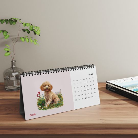 Puppies 2024 Desktop Calendar, Puppies Calendar, Puppies Calendar Gift, Desktop Calendar Gift