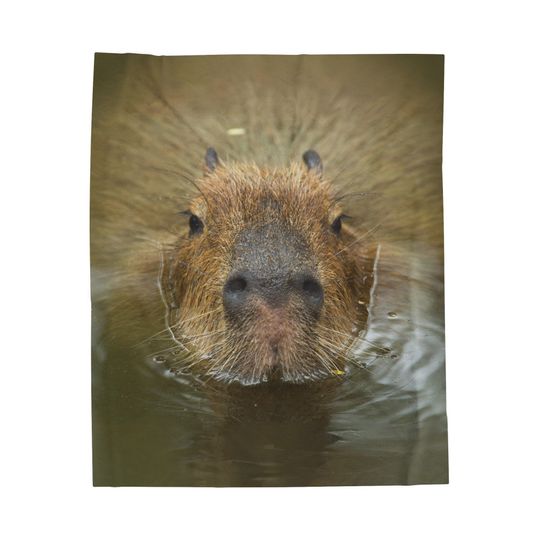 Cute Capybara Blanket, Capybaras Lover Gift For Kids Fleece Blanket