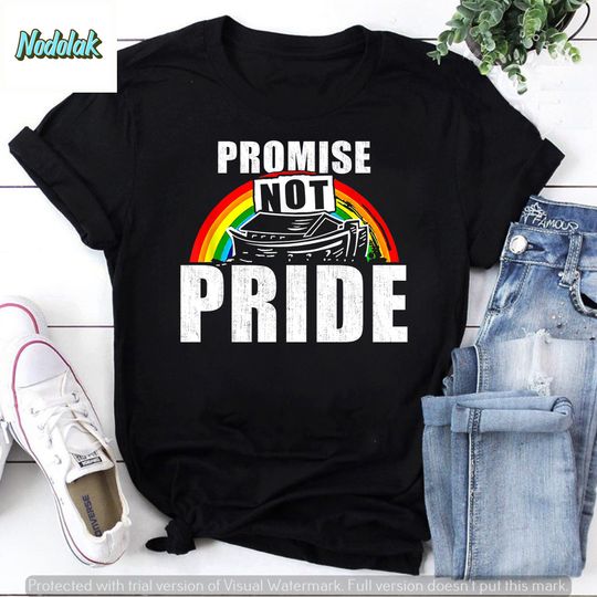 Promise Not Pride Bryson Gray Vintage T-Shirt, Pride Month Shirt, For LGBT Shirt, For Pride Month Shirt, Love LGBT Shirt