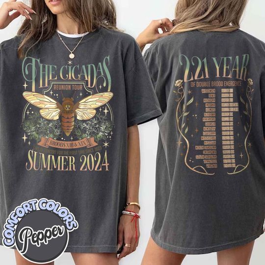 Cicada Reunion Summer 2024 Comfort Colors Shirt, Cicada Concert Tshirt