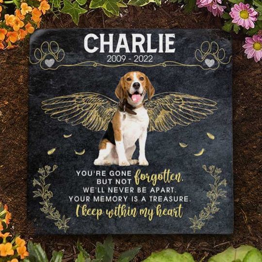 You're Gone But Not Forgotten Custom Photo Pet Grave Personalized Memorial Stone