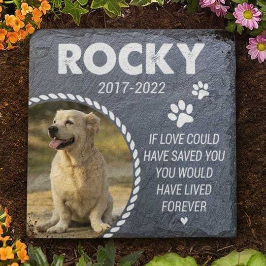 You Would Have Lived Forever Custom Upload Image Pet Grave Personalized Memorial Stone