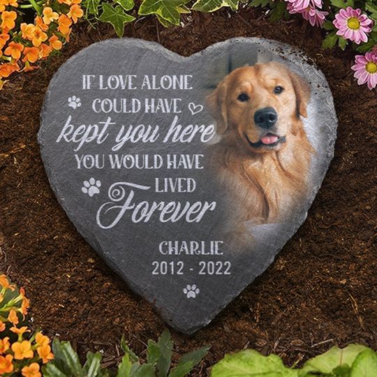 You Would Have Lived Forever Custom Upload Image Dogs Cats Memorial Stone