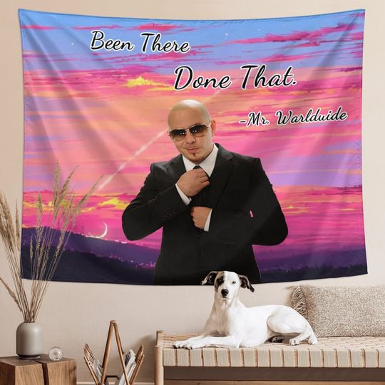 Funny Tapestries Mr 305 Been There Done That, Funny Meme Aesthetic Decor Tapestries