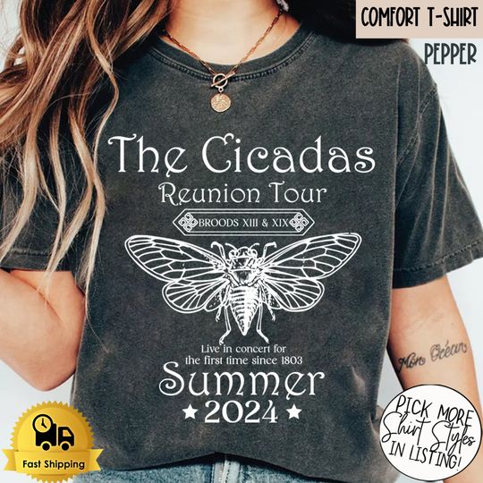 Cicada Reunion Summer 2024 Shirt, Cicada Concert Shirt