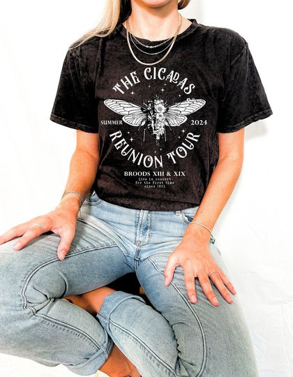 Cicada Reunion Summer 2024 Shirt, Cicada Concert T-Shirt