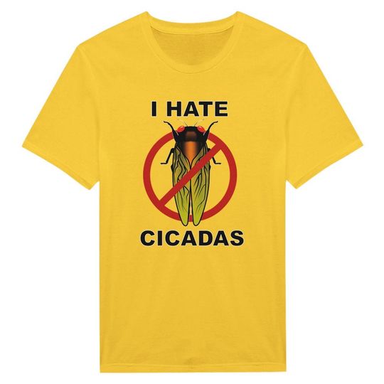Cicada Reunion Summer 2024 Shirt, Cicada Concert T-Shirt