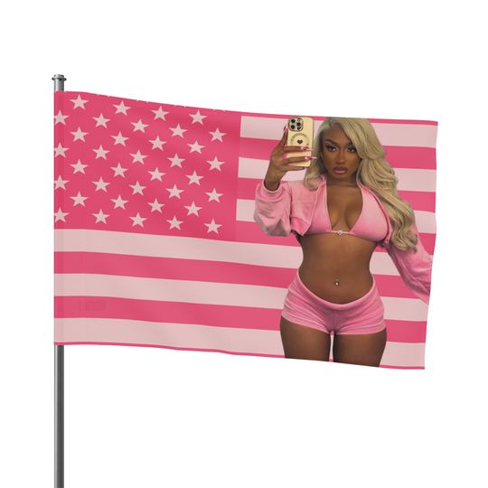 Megan Thee Stallion - Pink American Flag - Funny Meme