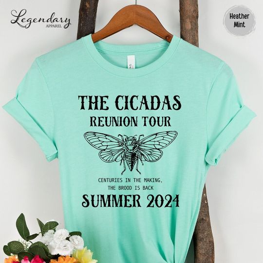 Cicada Shirt 2024 Cicada Reunion Tee Funny Cicada Concert T-shirt