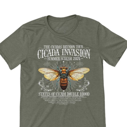 cicada band tee 2024 reunion tour cicada t-shirts missouri illinois concert cicada t-shirt