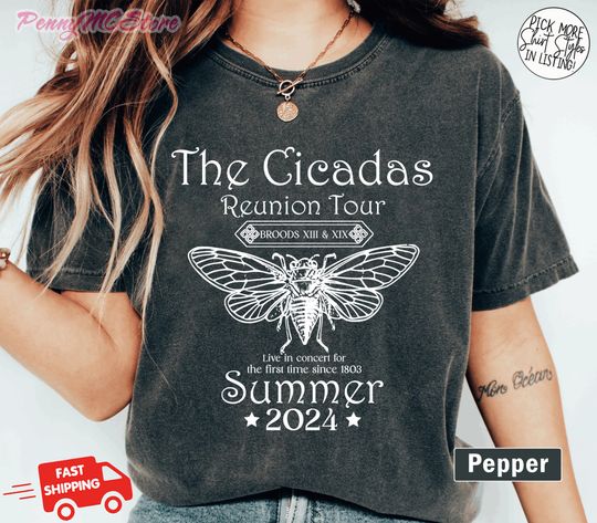 Cicada Shirt Cicadas Summer Scream Reunion Tour 2024 T-Shirt