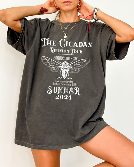 Cicada Concert Tour 2024 Comfort Colors Shirt Cicada Broods Family Tshirt