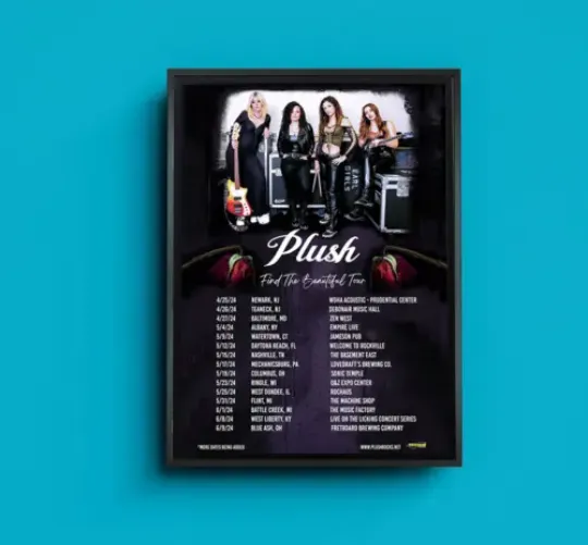 Plush Find The Beautiful Tour 2024 Poster
