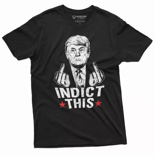 Trump Arrest Indictment T-shirt Pro Trump Support Tee shirt DJT 2024 elections