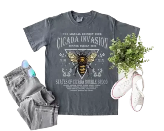 The Cicadas Reunion Tour Shirt, Cicada Concert Tour 2024 Shirt