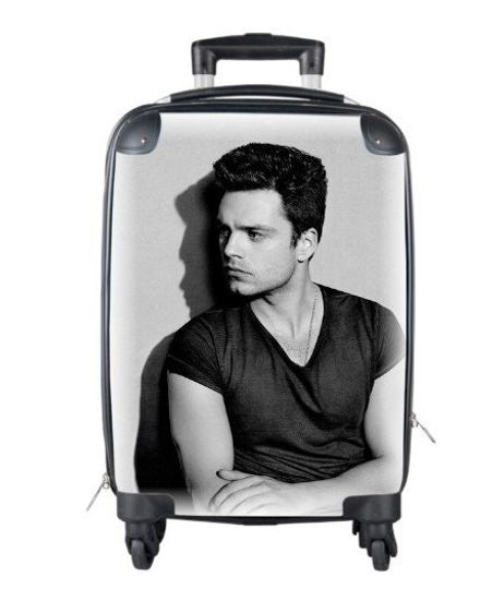 Sebastian Stan Suitcase Cabin Travelling Super Hero Gifts Birthday Mothers Day Fathers Day