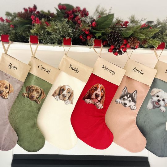 Personalized dog stocking, Disney Christmas Dog Breed Stocking