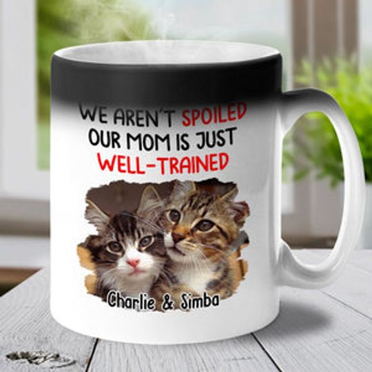 Custom Photo We Aren't Spoiled - Dog & Cat Custom Color Changing Mug