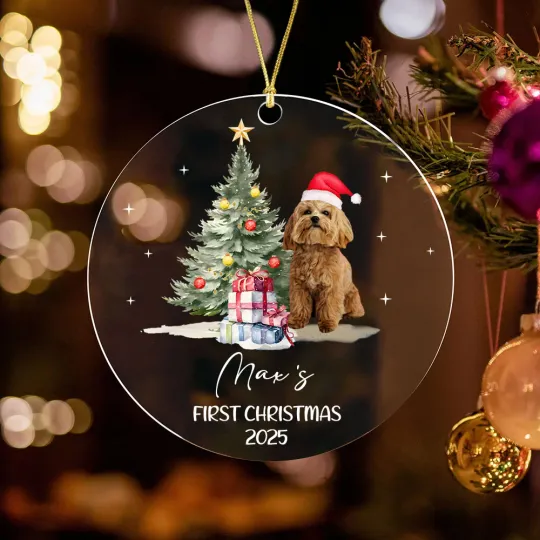 Personalized Oil Painting Santa Hat Dog Cat Photo Clear Acrylic Ornament