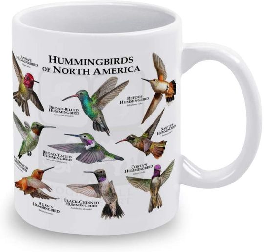 Hummingbirds Of North America Ceramic Novelty Coffee Mug