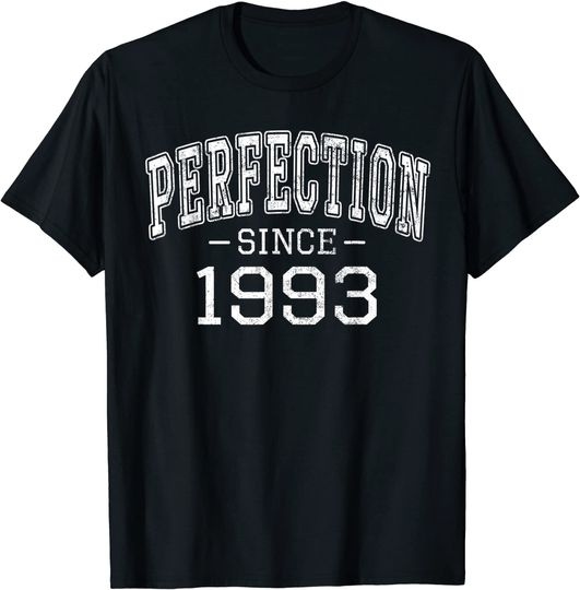 Perfection since 1993 Vintage Style Born in 1993 Birthday T Shirt