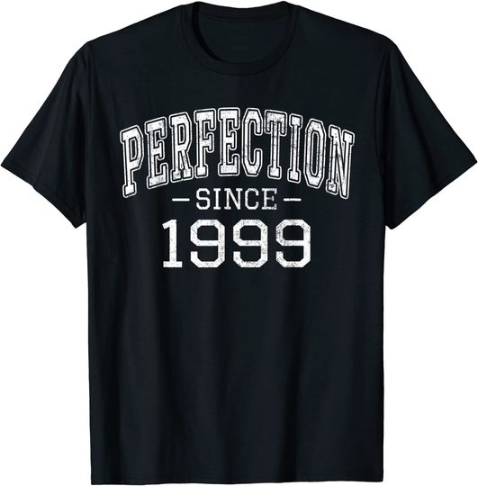 Perfection since 1999 Vintage Style Born in 1999 Birthday T Shirt