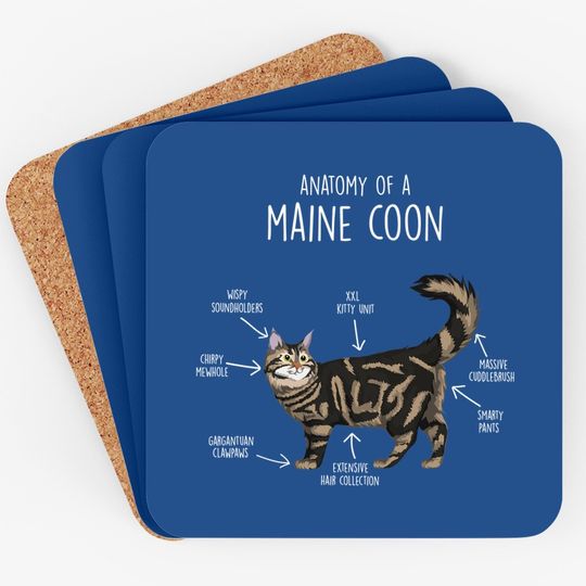 Anatomy Of A Maine Coon Cat Coaster