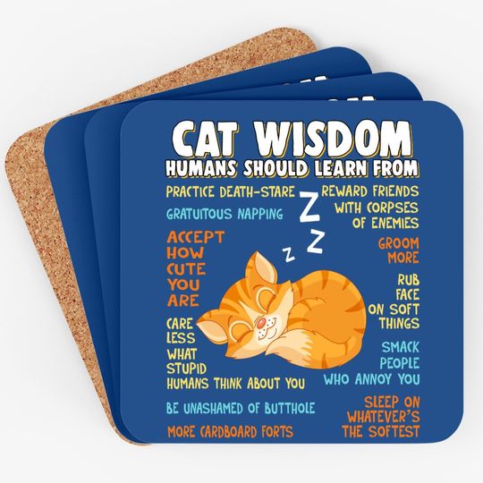 Cat Wisdom Human Should Learn From Coaster